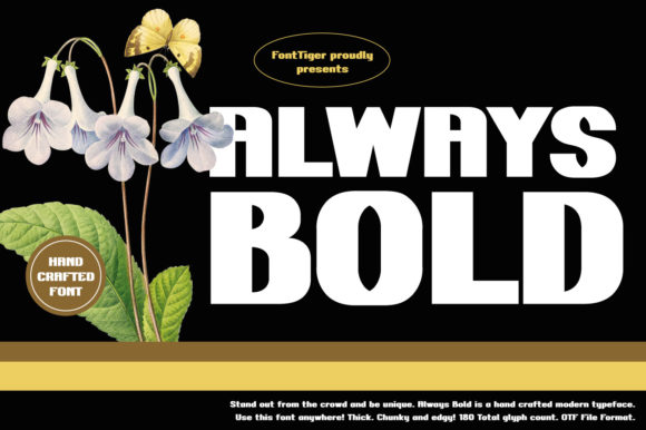 Always Bold Display Font for Scroll-Stopping Marketing